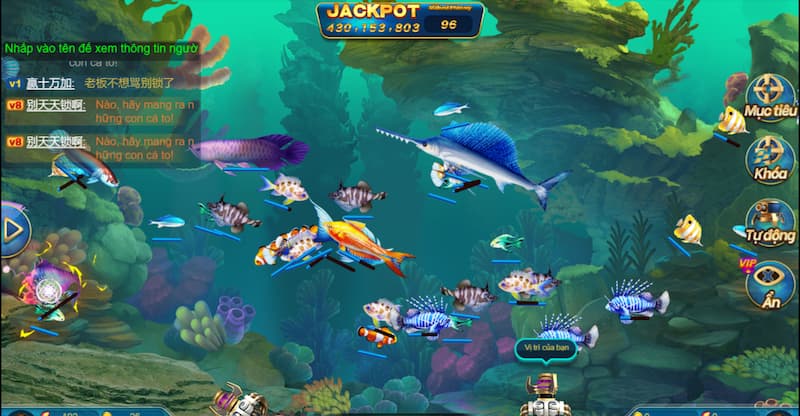 Chiến thuật thắng lớn trong săn cá